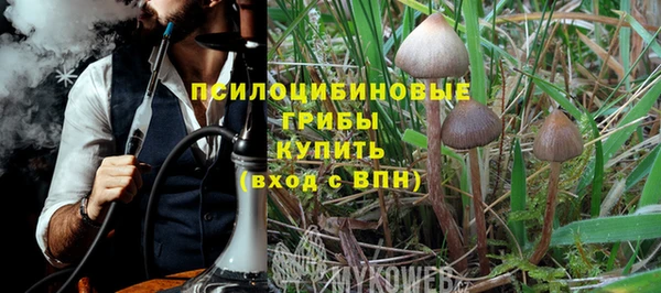 PSILOCYBIN Абинск