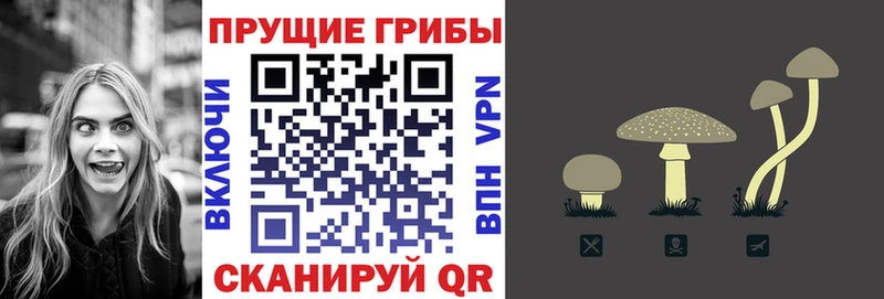 кракен рабочий сайт Александровск Псилоцибиновые грибы GOLDEN TEACHER